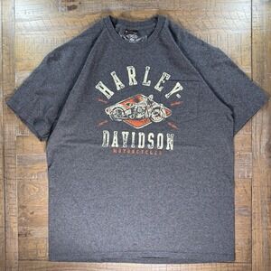 Harley Davidson T Shirt Men's Size LARGE Gray GERMANY